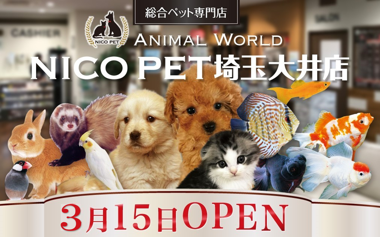 スーパービバホーム埼⽟⼤井店に総合ペット専⾨店のNICO PETを
オープン