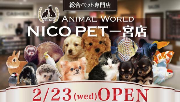 【アークランドサカモト】２月23日（水）７店舗目のNICO PET（ニコペット）をスーパービバホーム一宮店にオープン