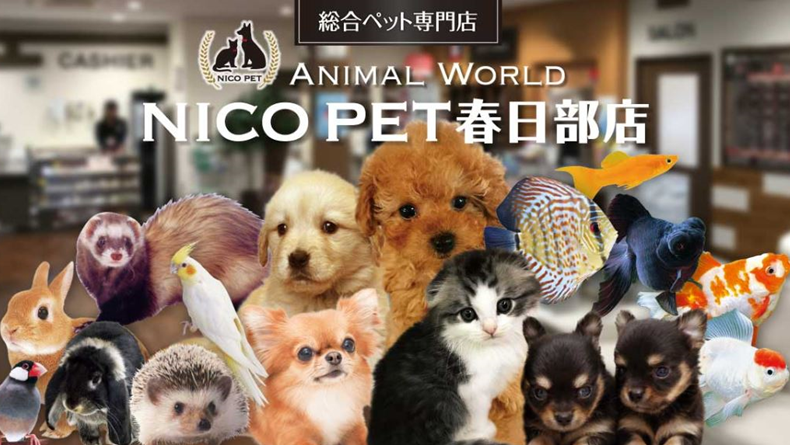 スーパービバホーム春⽇部店に総合ペット専⾨店のNICO PETを
オープン