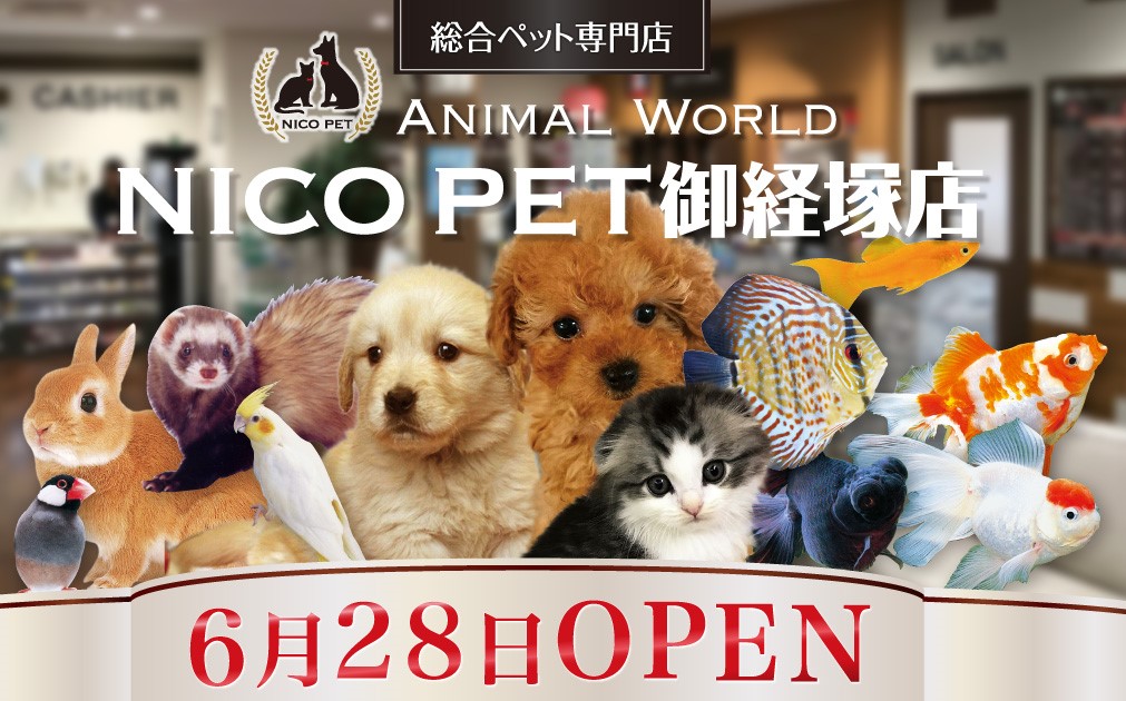 アークスクエア御経塚に総合ペット専門店のNICO PETをオープン